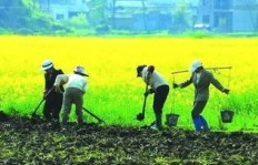种地之余，农民还能尝试哪些赚钱的副业？
