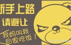 毕节新手如何快速上手副业增收？必看攻略详解！