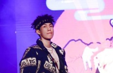 刘柏辛除了音乐还有什么副业？她如何拓展事业版图？