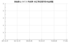 在泰山经营什么项目能迅速盈利？