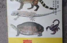 高中校园内饲养哪种动物能带来经济效益？