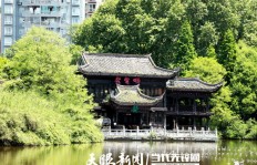 长沙街头哪里有卖花副业的好去处？