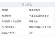 有哪些适合男性的网名可以助力网络赚钱？