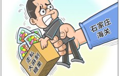 如何通过漫画解说打造独特副业项目？成功秘诀在哪里？