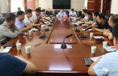 你有没有见过真正赚钱的项目？它们到底长什么样？