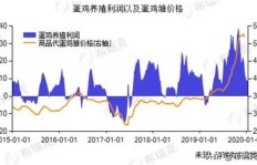 如何在当前环境下通过观看视频实现盈利？