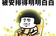 啪什么梗
