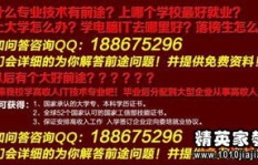大学本科学习哪门技术最具赚钱潜力？