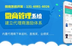 微商纸尿裤如何吸引粉丝并提升订单效率，有哪些独到策略？