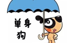 现在在泰山寻找副业是否明智之举？