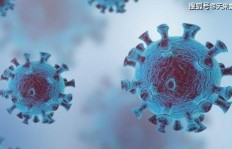 大四学姐如何找到高收益的副业？