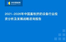 国网副业剥离背后隐藏着怎样的战略考量？