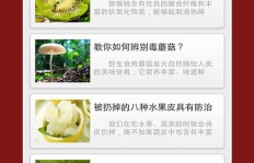 想要吸引用户，微信特产群的名称该如何巧妙融合土特产特色？