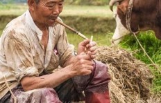 农民渴望进城务工求财，意愿几何？
