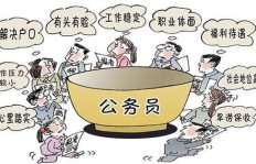 公务员私下养鸡副业，合规吗？背后有何隐情？
