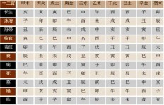 宫位图透露财运秘诀，哪个位置最能助你财富增长？