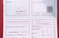 报到证丢失后补办费用及所需时间详解