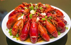 巧虎麻辣龙虾生意火爆，真的能带来丰厚利润吗？
