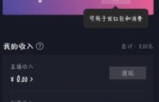 如何在抖音查看赚钱收益？详细步骤解析