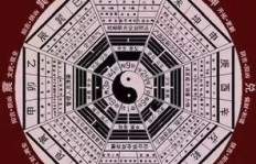 在风水学中，哪一类布局最具财富吸引力？