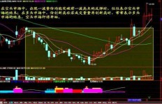 哪种选股方式最赚钱？独家排名揭晓高效策略