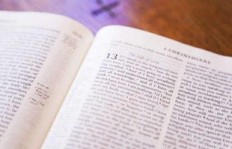 如何用英语表达“哪一个”？“哪一个”的英文书写方式又是怎样的？