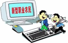 什么样的高薪工作最适合牛人发挥才能？