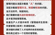 如何在阿里平台上成功种草并实现盈利，有哪些策略值得借鉴？