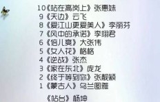 哪类职业能比歌手更快实现财富积累？