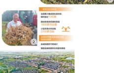 农副业基地如何成为乡村振兴的新引擎？