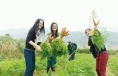 农村人如何快速找到最赚钱的门路？