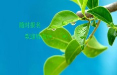 绿叶事业真的让大家都赚到钱了吗？真相究竟如何？