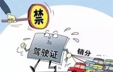 警察能否从事合法副业？法律界限与职业规范解析