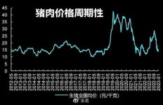 视频剪辑手艺能否在卖猪肉行业实现盈利？