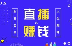 无人直播真的能实现盈利吗？新手如何把握这一风口？