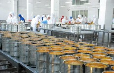 哪类食品厂最具盈利潜力？如何选择赚钱的食品加工领域？