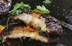 早餐店为何能吸引众多食客？背后有哪些独特经营秘诀？