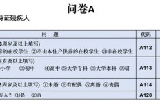 如何通过问卷调查实现盈利？操作方法与技巧详解