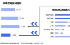 开发者如何利用副业实现收入多元化？