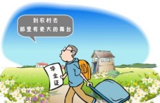 美国农民经营生意能否实现盈利？