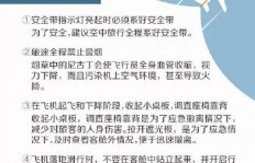 日本航空巨头为何热衷发展副业？背后有何玄机？