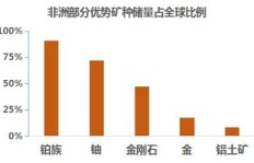 在非洲市场，哪些商品销售最具盈利潜力？
