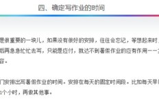 暑假如何合理安排时间开展副业增加收入？