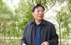 陶长柏如何在沙土地种出“摇钱树”，年收益七千万，带领农户致富？