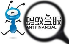 蚂蚁集团旗下哪家公司盈利能力更强？