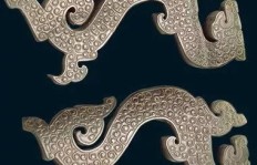 中国龙寓意深远，它究竟象征着什么？一起来探究其背后的文化与定义吧