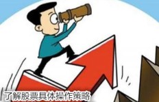 鹏哥副业工厂究竟是如何助你开启成功副业的？