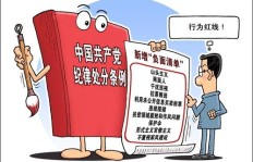 安柒除了主业外还做了什么副业？