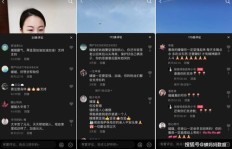 怎样迅速积累十万粉丝并实现高效变现？