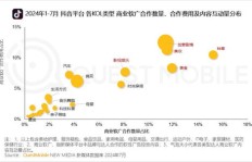 女士如何在抖音平台上实现盈利？